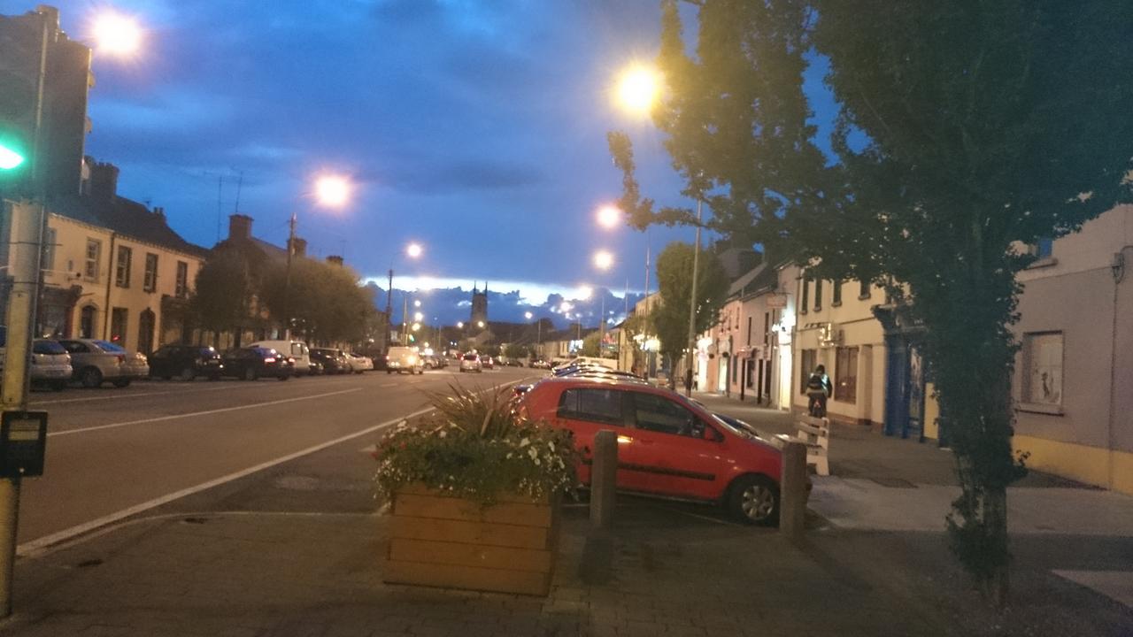 Отель Skellys Ballymahon Экстерьер фото